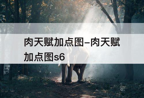 肉天赋加点图-肉天赋加点图s6