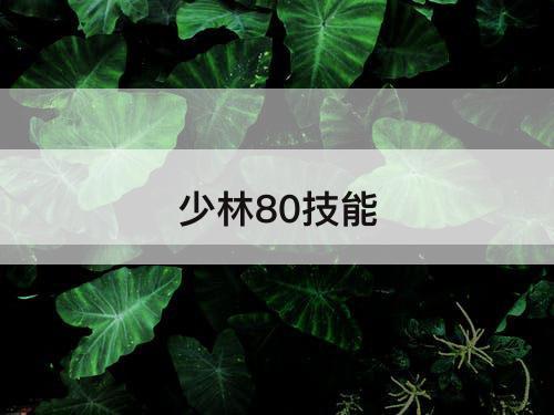 少林80技能