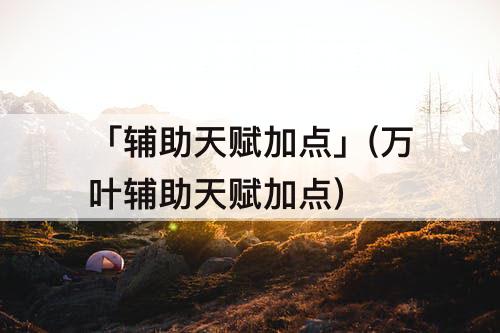 「辅助天赋加点」(万叶辅助天赋加点)