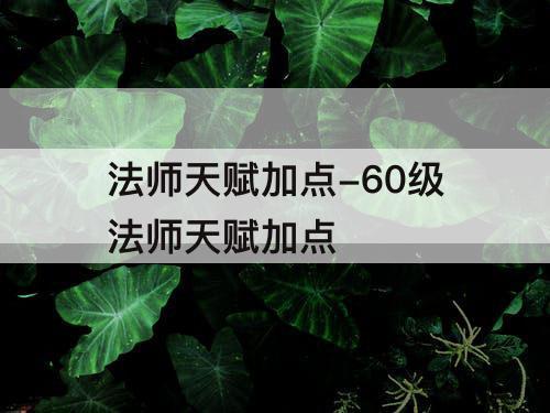 法师天赋加点-60级法师天赋加点