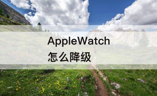 AppleWatch怎么降级