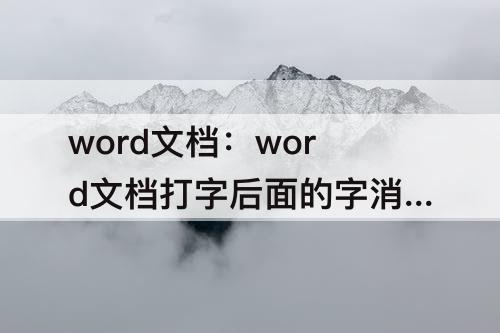 word文档：word文档打字后面的字消失怎么办