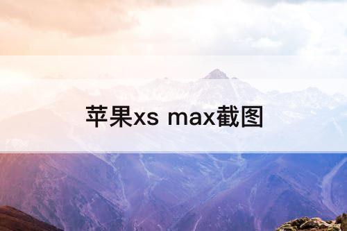 苹果xs max截图