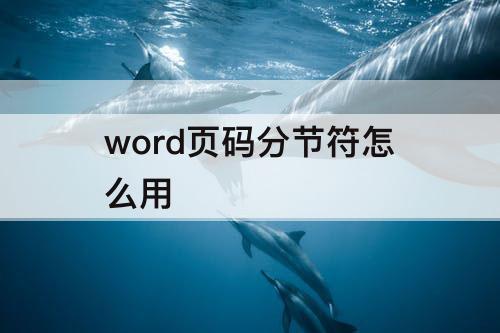 word页码分节符怎么用