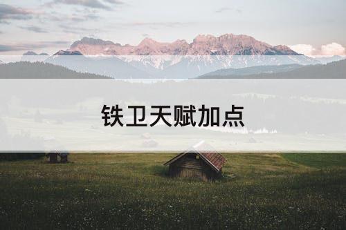 铁卫天赋加点