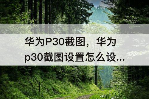 华为P30截图，华为p30截图设置怎么设置