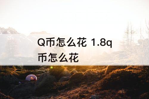 Q币怎么花 1.8q币怎么花