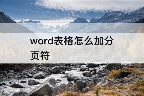 word表格怎么加分页符