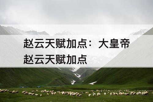 赵云天赋加点：大皇帝赵云天赋加点