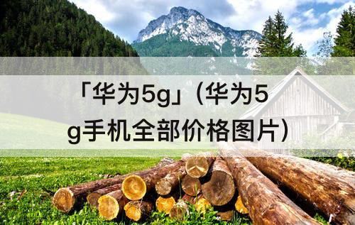「华为5g」(华为5g手机全部价格图片)