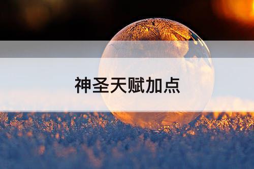 神圣天赋加点