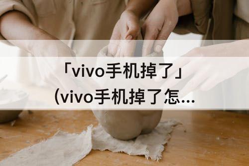 「vivo手机掉了」(vivo手机掉了怎么找回账号)