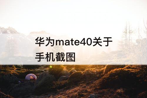 华为mate40关于手机截图