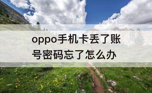 oppo手机卡丢了账号密码忘了怎么办