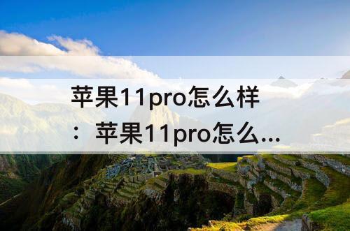 苹果11pro怎么样：苹果11pro怎么样优点和缺点?-芝士回答