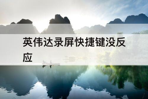 英伟达录屏快捷键没反应