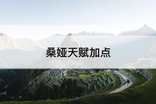 桑娅天赋加点