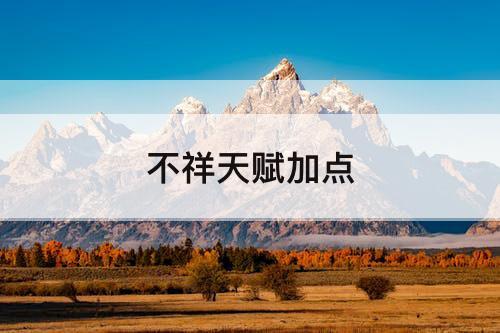 不祥天赋加点