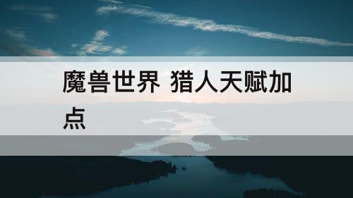 魔兽世界 猎人天赋加点