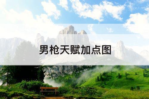 男枪天赋加点图