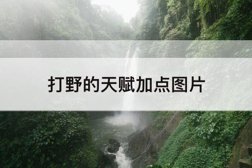 打野的天赋加点图片