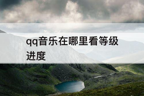 qq音乐在哪里看等级进度