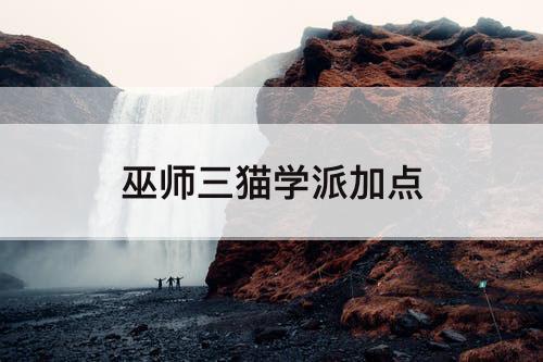 巫师三猫学派加点