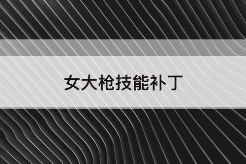 女大枪技能补丁