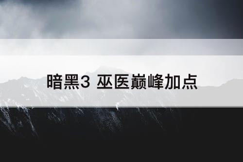 暗黑3 巫医巅峰加点