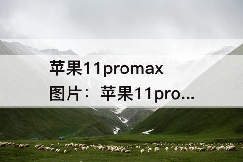 苹果11promax图片：苹果11promax图片颜色