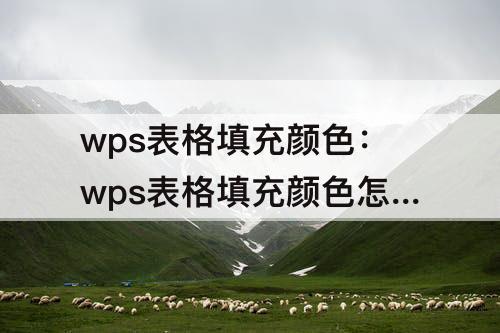 wps表格填充颜色：wps表格填充颜色怎么弄快捷键