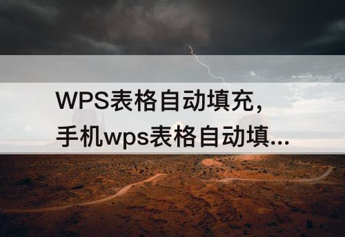 WPS表格自动填充，手机wps表格自动填充
