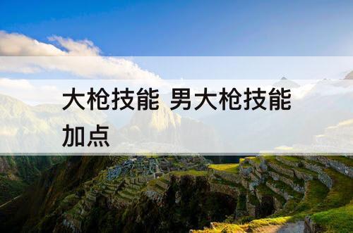 大枪技能 男大枪技能加点
