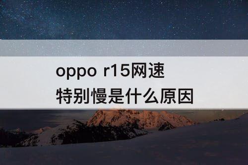 oppo r15网速特别慢是什么原因