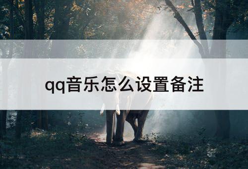 qq音乐怎么设置备注