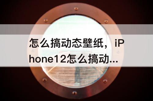 怎么搞动态壁纸，iPhone12怎么搞动态壁纸