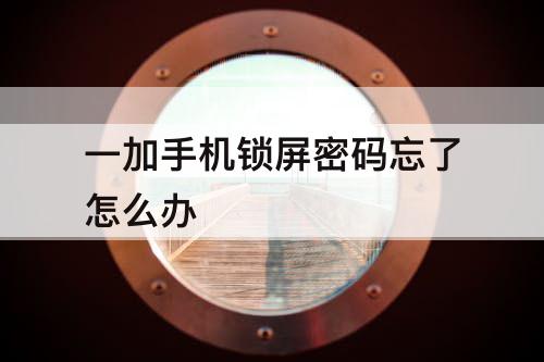 一加手机锁屏密码忘了怎么办