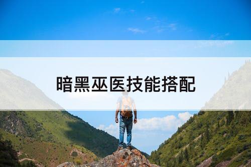 暗黑巫医技能搭配