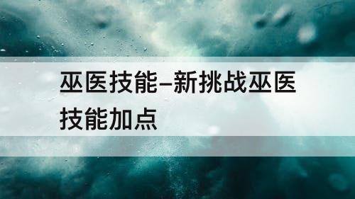 巫医技能-新挑战巫医技能加点