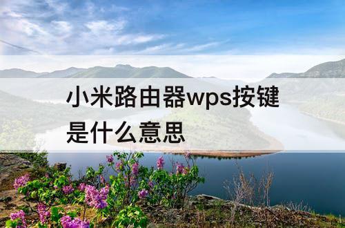小米路由器wps按键是什么意思