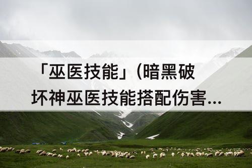 「巫医技能」(暗黑破坏神巫医技能搭配伤害最大化)