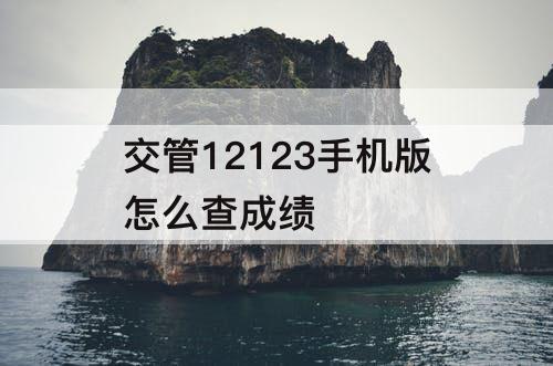 交管12123手机版怎么查成绩