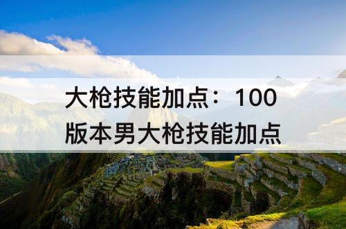 大枪技能加点：100版本男大枪技能加点