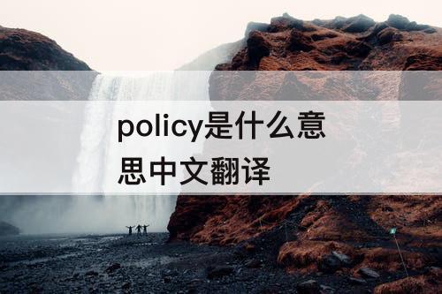 policy是什么意思中文翻译