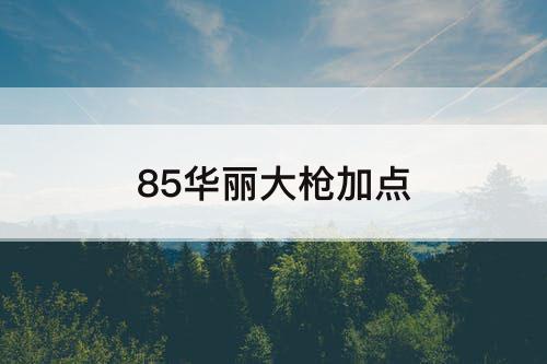 85华丽大枪加点