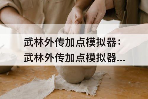 武林外传加点模拟器：武林外传加点模拟器 虾哥