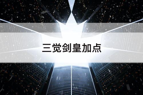 三觉剑皇加点