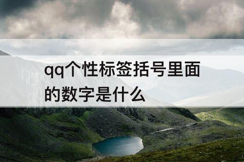 qq个性标签括号里面的数字是什么