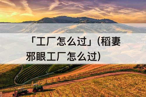 「工厂怎么过」(稻妻邪眼工厂怎么过)