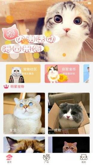 猫咪社区